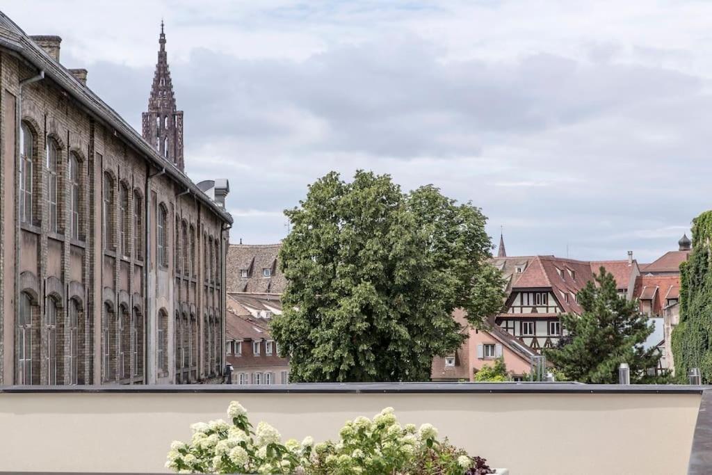 L'Academie - Magnifique 3 Chambres Krutenau Avec Parking Estrasburgo Exterior foto